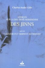 Aperçus sur la doctrine akbarienne des Jinns